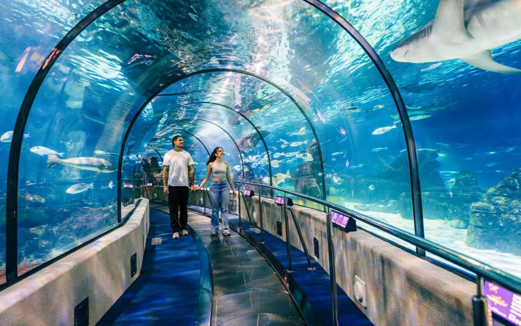 Barcelona-Aquarium-Skip-the-Line-Tickets